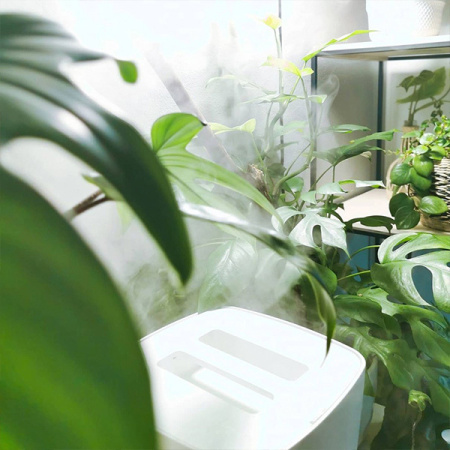 Stadler Form Eva white WiFi